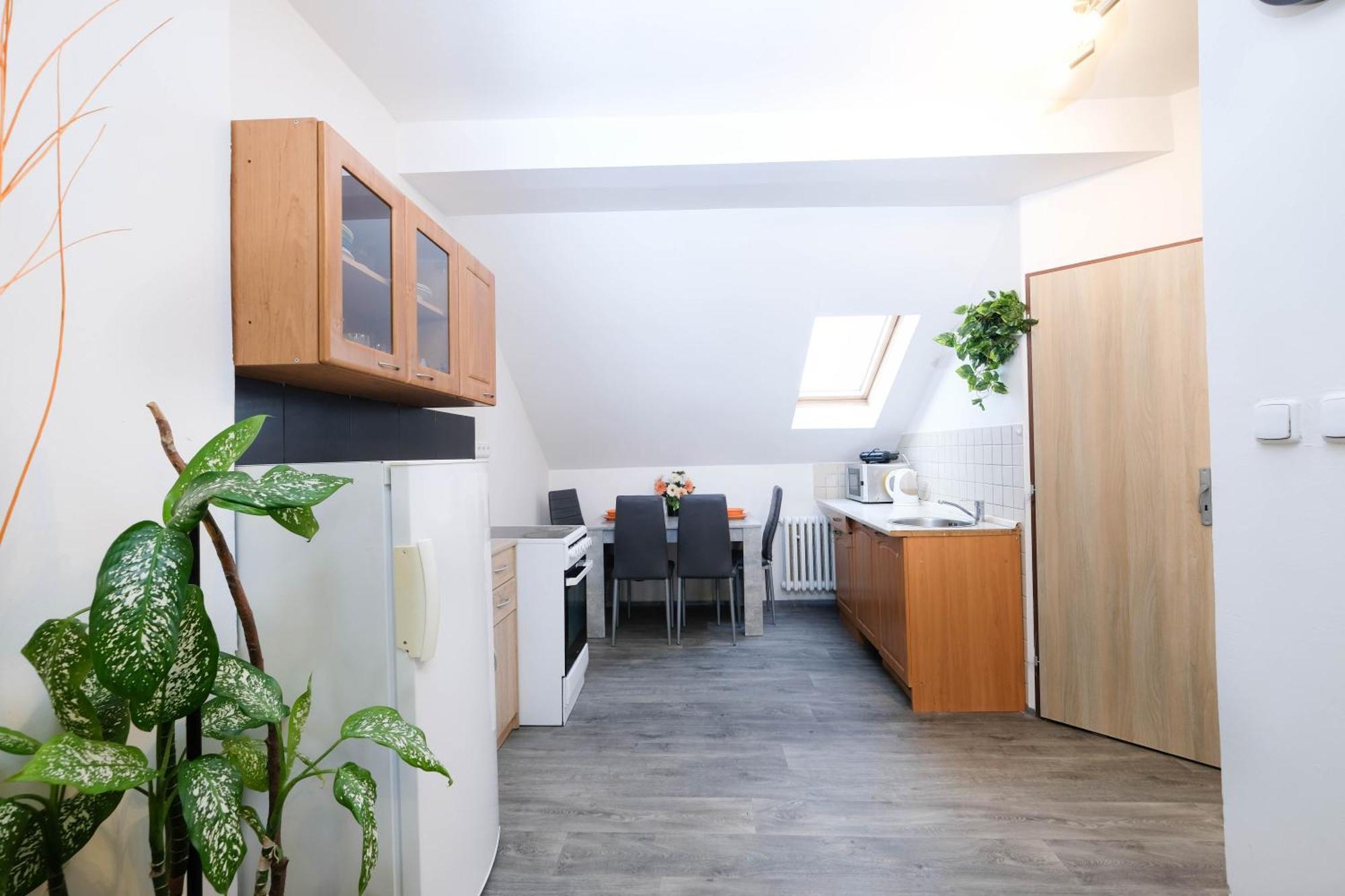 Apartments Alena - Karlovy Vary Dış mekan fotoğraf